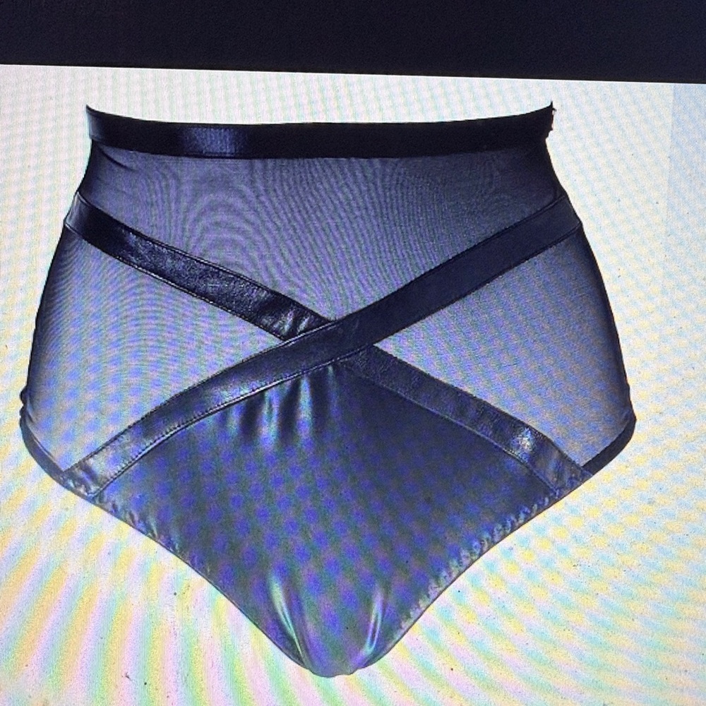 NWOT Something Wicked Jade High Waist Brief